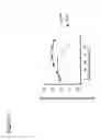 Fig. 02 - USE OF RNA FOR REPROGRAMMING SOMATIC CELLS