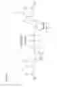 Fig. 07 - USE OF RNA FOR REPROGRAMMING SOMATIC CELLS