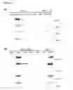 Fig. 14 - USE OF RNA FOR REPROGRAMMING SOMATIC CELLS