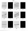 Fig. 12 - ENGINEERED THREE-DIMENSIONAL SKIN TISSUES, ARRAYS THEREOF, AND METHODS OF MAKING THE SAME