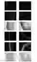 Fig. 23 - ENGINEERED THREE-DIMENSIONAL SKIN TISSUES, ARRAYS THEREOF, AND METHODS OF MAKING THE SAME