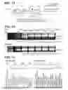 Fig. 02 - Recombinant baculovirus expression vector and cell