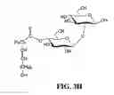 Fig. 08 - Chemically modified sophorolipids and uses thereof