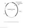 Fig. 08 - NOVEL METALLOPROTEASES