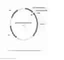 Fig. 20 - NOVEL METALLOPROTEASES