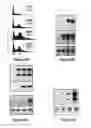 Fig. 08 - PROTEIN INVOLVED IN DNA REPLICATION, AND MODULATION OF ITS ACTIVITY