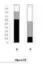 Fig. 19 - PROTEIN INVOLVED IN DNA REPLICATION, AND MODULATION OF ITS ACTIVITY