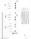 Fig. 08 - Nucleic acid-tagged compositions and methods for multiplexed protein-protein interaction profiling