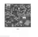 Fig. 08 - Methods for obtaining information from single cells within populations using DNA origami nanostructures without the need for single cell sorting