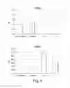 Fig. 04 - COMPOSITIONS AND METHODS FOR MODULATING FOXP3 EXPRESSION