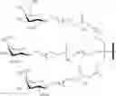 Fig. 100 - COMPOSITIONS AND METHODS FOR MODULATION OF TARGET NUCLEIC ACIDS