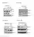 Fig. 17 - Replication factor C-40 (RFC40/RFC2) as a prognostic marker and target in estrogen positive and negative and triple negative breast cancer
