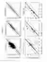 Fig. 05 - Methods and compositions for reducing immunosupression by tumor cells