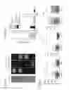 Fig. 33 - Methods and compositions for reducing immunosupression by tumor cells
