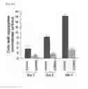 Fig. 10 - METHOD OF SCREENING FOR CHAPERONIN MODULATOR