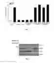 Fig. 02 - Plants having increased resistance to pathogens and method for producing said plants