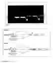 Fig. 08 - Gene expression system using alternative splicing in insects