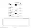 Fig. 31 - Gene expression system using alternative splicing in insects