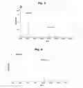 Fig. 04 - Fusion Protease