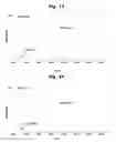 Fig. 08 - Fusion Protease