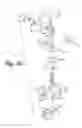 Fig. 13 - METHOD FOR DETECTING THE PRESENCE OF A NUCLEIC ACID IN A SAMPLE