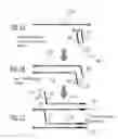 Fig. 02 - Methods of sequencing with linked fragments