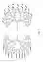 Fig. 12 - Polymers and DNA copolymer coatings