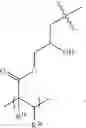 Fig. 19 - Polymers and DNA copolymer coatings