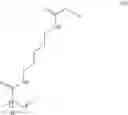 Fig. 94 - Polymers and DNA copolymer coatings