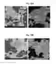 Fig. 15 - METHOD FOR CONTROLLING ALUMINUM TITANATE CERAMIC FILTER PROPERTIES