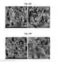 Fig. 17 - METHOD FOR CONTROLLING ALUMINUM TITANATE CERAMIC FILTER PROPERTIES