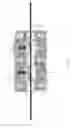 Fig. 02 - INJECTOR HEAD FOR ATOMIC LAYER DEPOSITION