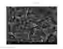 Fig. 03 - Method for producing metal-resin complex