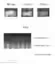 Fig. 04 - Anodic oxide coating, treatment method therefor, and piston for internal combustion engine