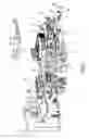 Fig. 03 - THREAD DISPENSING ELEMENT FOR A THREAD GUIDE FOR KNITTING MACHINES, AND THREAD GUIDE COMPRISING THE DISPENSING ELEMENT