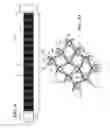 Fig. 05 - Braided textile sleeve with self-sustaining expanded and contracted states and method of construction thereof