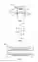 Fig. 03 - Process For Making Non-Woven Insulating Sheeting And Products Of Such Process