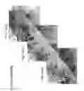 Fig. 06 - CARPET, CARPET BACKINGS AND METHODS