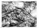 Fig. 01 - Method for making nanofibrillar cellulose and for making a paper product