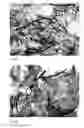 Fig. 04 - Method for making nanofibrillar cellulose and for making a paper product