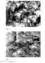 Fig. 05 - Method for making nanofibrillar cellulose and for making a paper product