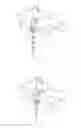 Fig. 06 - A BASIN MOUNTING STRUCTURE