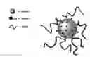 Fig. 01 - Phase-change materials from wax-based colloidal dispersions and their process of making