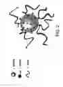 Fig. 03 - Phase-change materials from wax-based colloidal dispersions and their process of making