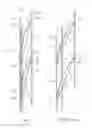 Fig. 02 - Tilt mechanism for a window blind