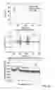 Fig. 09 - Automated spiraling detection