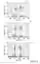 Fig. 10 - Automated spiraling detection