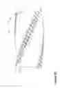 Fig. 07 - Reamer for Use in Drilling Operations