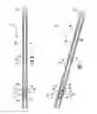 Fig. 04 - Downhole vibration enhancing apparatus and method of using and tuning the same