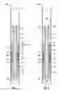 Fig. 04 - Downhole tool with anti-extrusion device